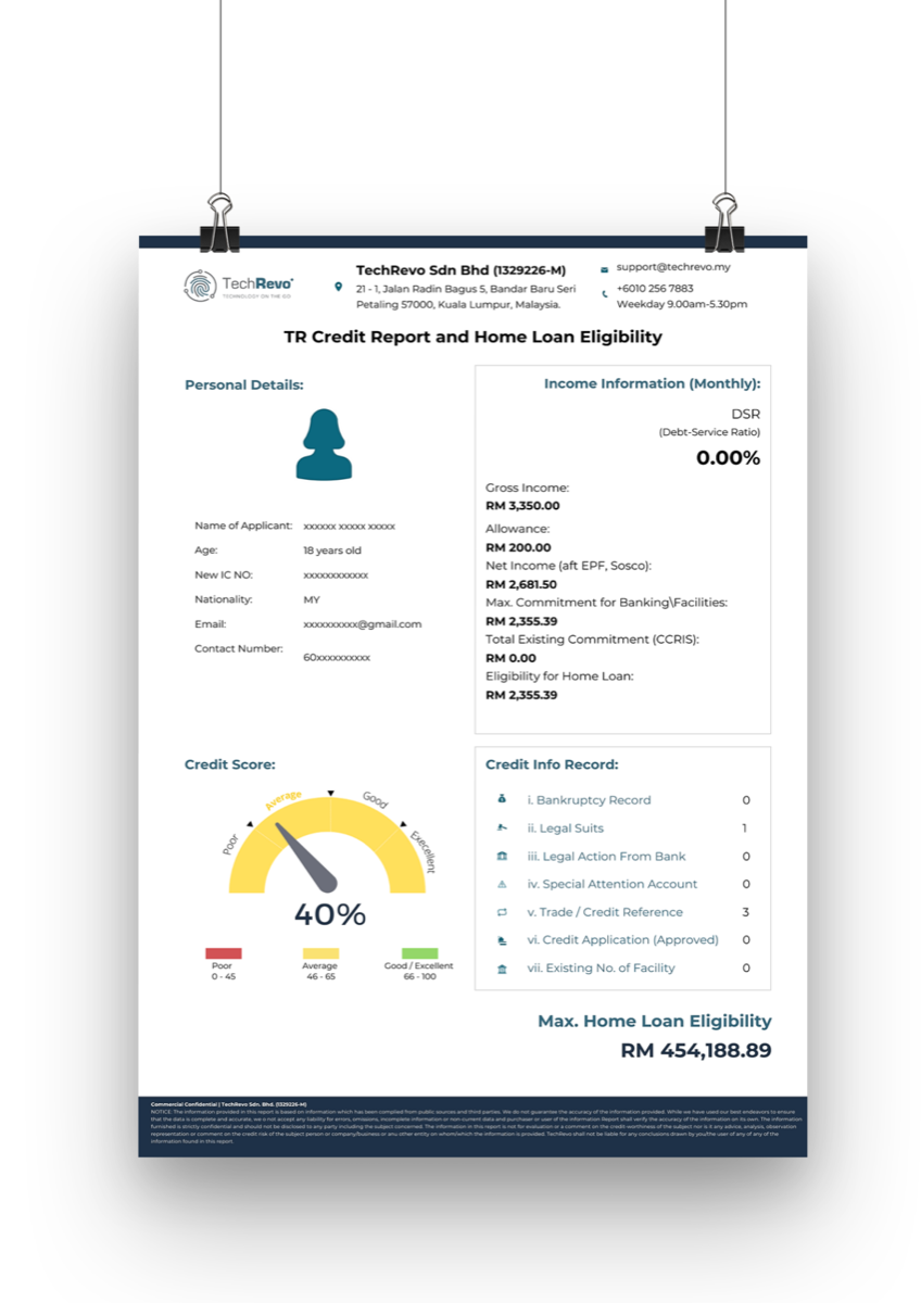 Example of a TechRevo report